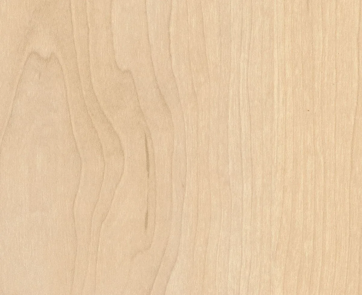 Rock Maple